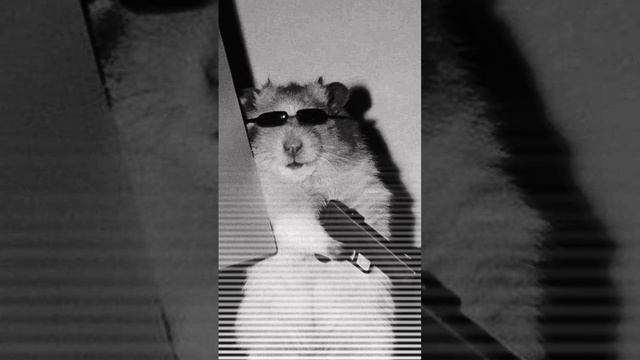 PHONK Scopin 5Минут по просьбе подписчика