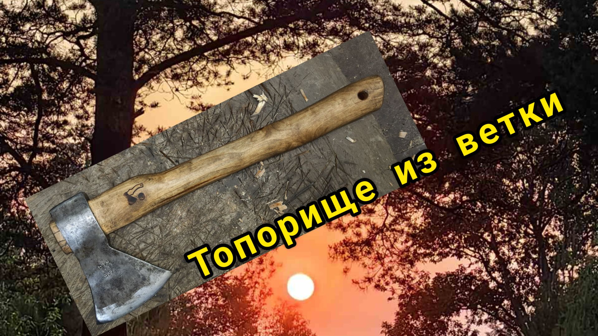 Топорище из черёмуховой ветки