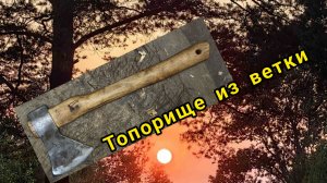 Топорище из черёмуховой ветки