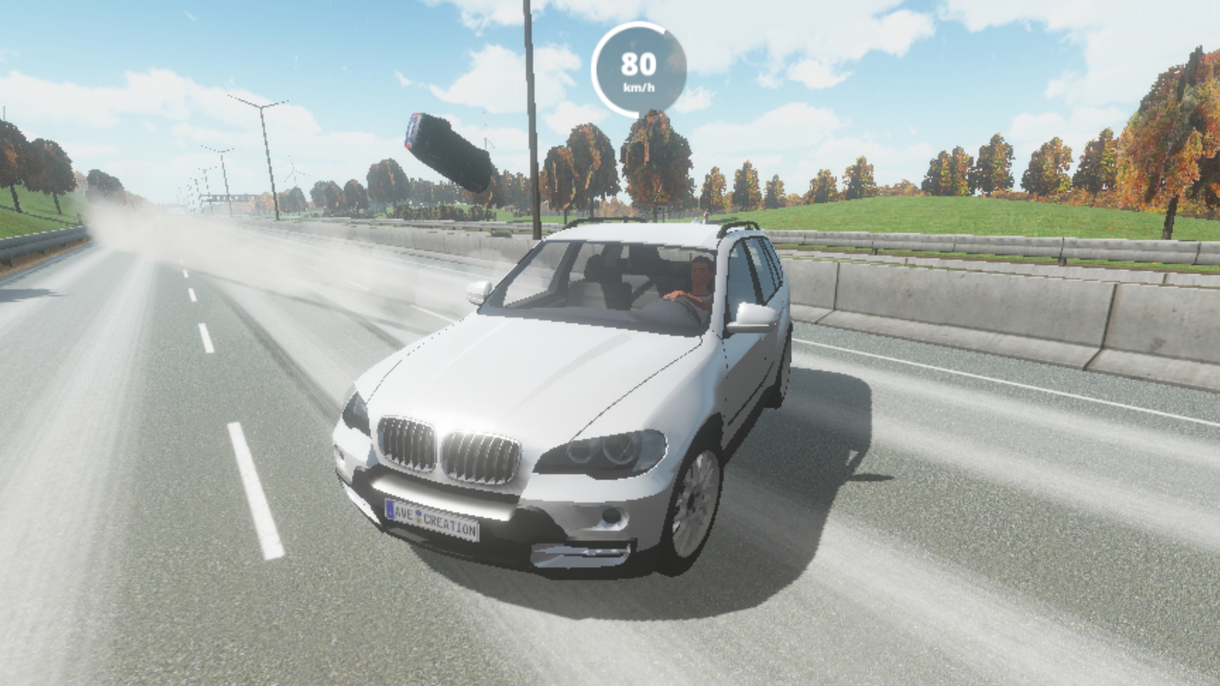 Driving Zone Germany