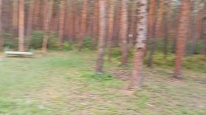 Попрошайка появилась 👋