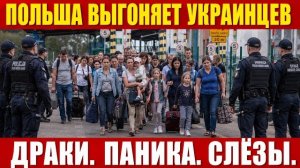 Поляки Выгоняют Украинцев !!! ДРАКИ. КРИКИ. ХАОС 😱