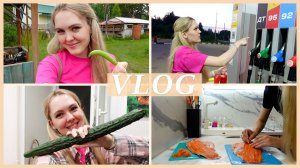 🚘 ЗАПРАВЛЯЕМ МАШИНУ | СОЛЮ ФОРЕЛЬ | ПЕРВЫЙ УРОЖАЙ 🥒