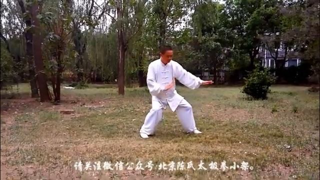 Сяо цзя (разные исполнители)