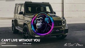 can't live without you - zone
