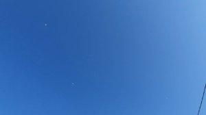 01.08.26 г. Андижанская порода голубей (2)