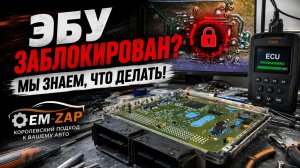 Прошивка ЭБУ в OEM-ZAP