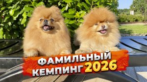 Фамильный кемпинг. Стоит ли посещать в 2026 году. Честный отзыв