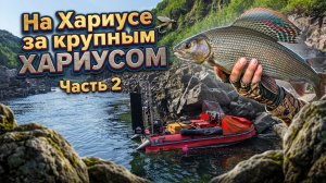 РИСКНУЛИ ЖИЗНЬЮ НА АЭРОЛОДКЕ «ХАРИУС»! Карабкались по ГОРАМ ради КРУПНЯКА! Часть 2