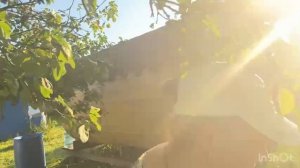 НА ДАЧУ❤️❤️❤️//МЕСТО СИЛЫ💯🫶//жизнь здесь и сейчас ✅❤️