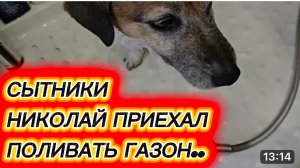 САМВЕЛ АДАМЯН,СЫТНИКИ,НИКОЛАЙ ПРИЕХАЛ ПОЛИВАТЬ ГАЗОН..