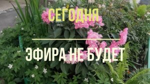 01.08.2026 эфира не будет