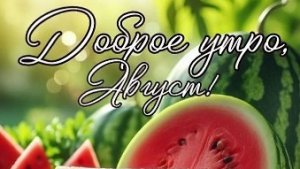 С 1 августа! Доброе летнее утро. Красивая музыкальная открытка.