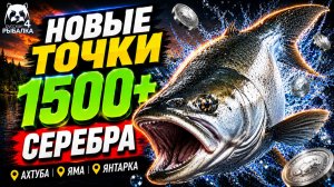 🤑 ТОП-3 ТОЧКИ ФАРМА и РАЗДАЧИ ТРОФОВ РР4 (01.08)! СВОДКА по ВОДОЕМАМ! АХТУБА • ЯМА •  ЯНТАРНОЕ