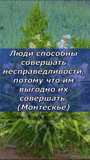 Мудрые мысли (Монтескье)