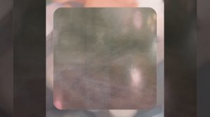 1000066085.mp4 (Собака слушает о устройстве анемостата вентиляции, планки на 2 эт. в доме А-фрейм)