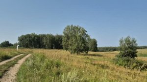 поехали за песком в лес/ тестирую микрофон/природа