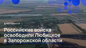 Российские войска освободили Любицкое в Запорожской области