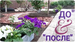 💚 ЧТО ДЕЛАТЬ чтобы не было сорняков! ОРГАНИЗАЦИЯ пространства 💚  ДО и ПОСЛЕ как было, что посадила