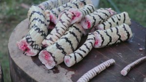 Рецепт приготовления супа из змеи — Суп из гигантской змеи