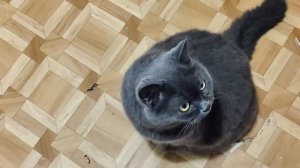 1.08.2026 г Жизнь ВПО Отпраздновали 5-летие канала!♥️ Салат Селёдка под снегом👍Красота Днепра🥰
