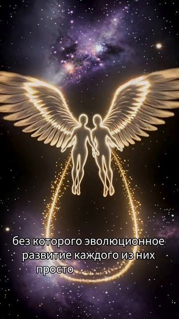 #любовь #тайна #наука