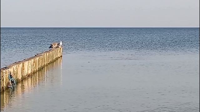 Балтиймкое море летом 2026 года
