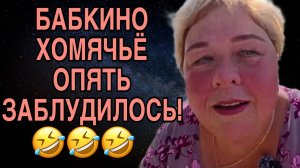 ХОМЯЧЬЁ ЗАБЛУДИЛОСь. ОЛЬГА УРАЛОЧКА LIVE. ОБЗОР.