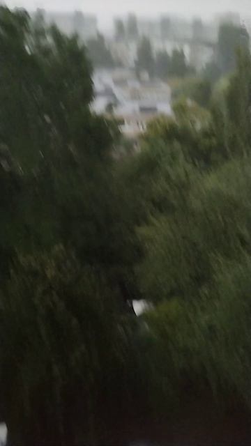 Калининград, утренний ливень