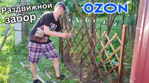 Наш первый арбуз в этом году. Раздвижной садовый забор с Ozon