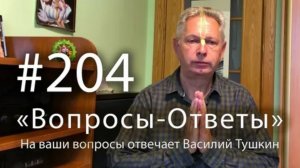 30.07.2026 «Вопросы-Ответы», Выпуск #204 - Е.М. Враджендра Кумар прабху отвечает на ваши вопросы