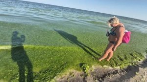 Алиса Неземная. А МЫ НА МОРЕ😁🌊⛱️Я ЗНАЮ МЕСТО,ГДЕ ВОДА ПРОЗРАЧНЕЕ МОЕЙ РЕПУТАЦИИ🥰