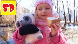 VLOG: Идем с Юху гулять на озеро  ищем уток кормим едим булку