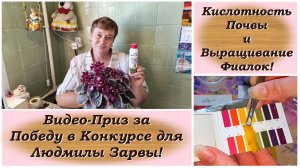 Кислотность Почвы и Выращивание Фиалок! Видео-Приз за Победу в Конкурсе для Людмилы Зарвы!