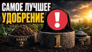САМОЕ МОЩНОЕ УДОБРЕНИЕ - И ЭТО НЕ НАВОЗ! О НЁМ ПОЧТИ НИКТО НЕ ГОВОРИТ