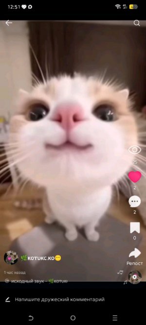 мииииуууу