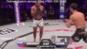 Усман Нурмагомедов - Арчи Колган, полное видео боя на PFL из Нью-Йорка
