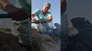 Исполнила веление диванных экспертов