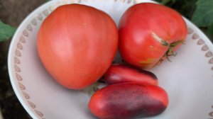 Дождалась 🍅💃🤣😊😊