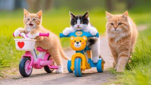 Мама-кошка подстригает шерсть на ферме и делает тигровую шапку для котят дома🐾🎩🐯