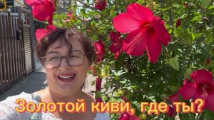 МОЙ ДЕНЬ👋🥝 О подарке от ЕЛЕНЫ.ШАПОКЛЯК и МЫСЛЁХИ🎁 АНОНС🤝ВЗАИМНАЯ ПОДДЕРЖКА😊