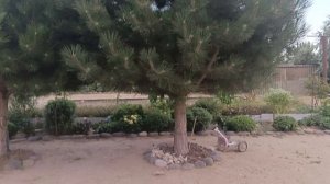 МЫ ИЩЕМ НАШЕГО ОПЕРАТОРА ЭКСТРЕМАЛЬНЫЕ ПРЯТКИ