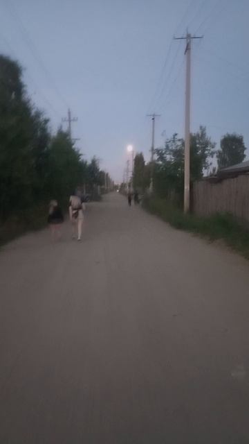 идем с дачи домой