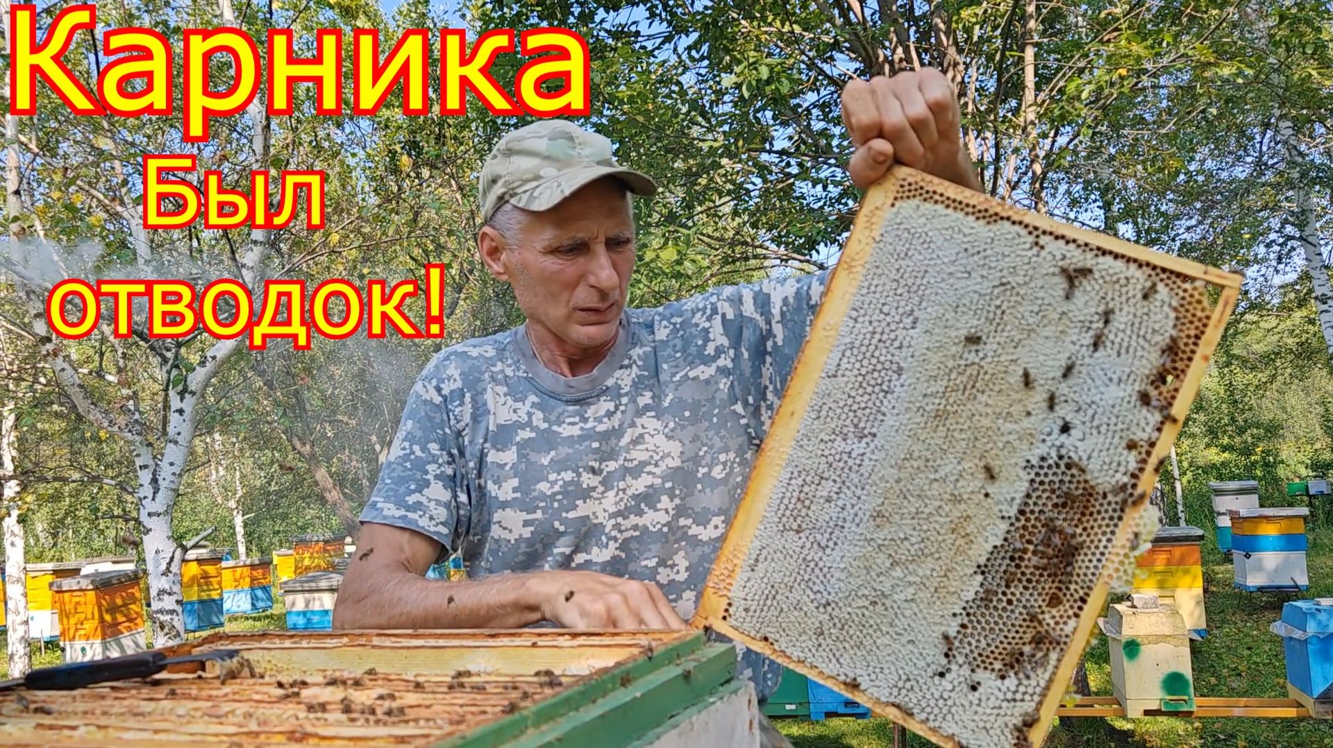КАРНИКА в Сибири! БЫЛ ОТВОДОК, что по МЁДУ!
