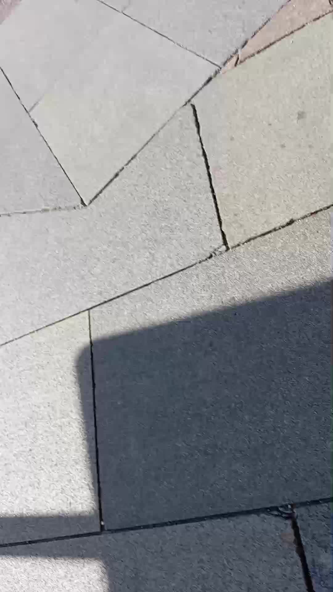 ри