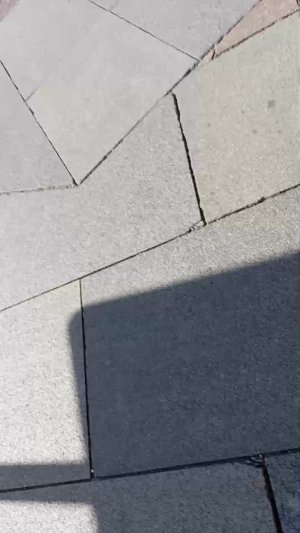 ри