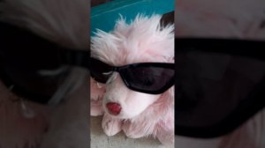 2 СЕРИЯ ЛЕСТНЫЕ СОБАКИ