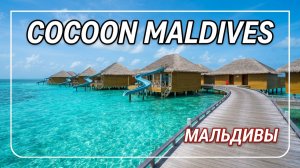 Обзор отеля Cocoon Maldives