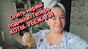 Опять нервы подняли. Теперь КОТЫ. УБЕЖАЛИ