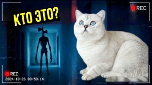 КТО ПРЯЧЕТСЯ У НАС ДОМА?! МАРФА ПРИШЛА НА ПОМОЩЬ!